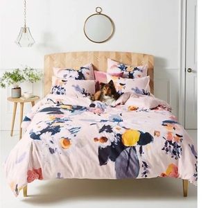 💗Host Pick💗Anthro duvet & two standard shams